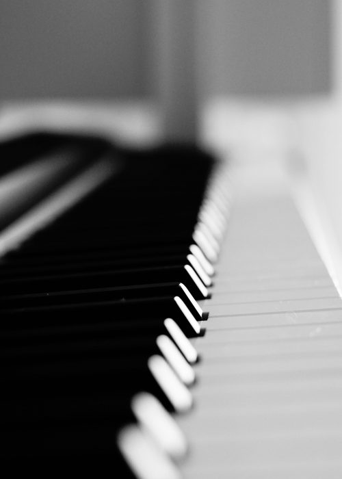 indy-bruhin-2ikmllSbW5c-unsplash indy-bruhin-2ikmllSbW5c-unsplash